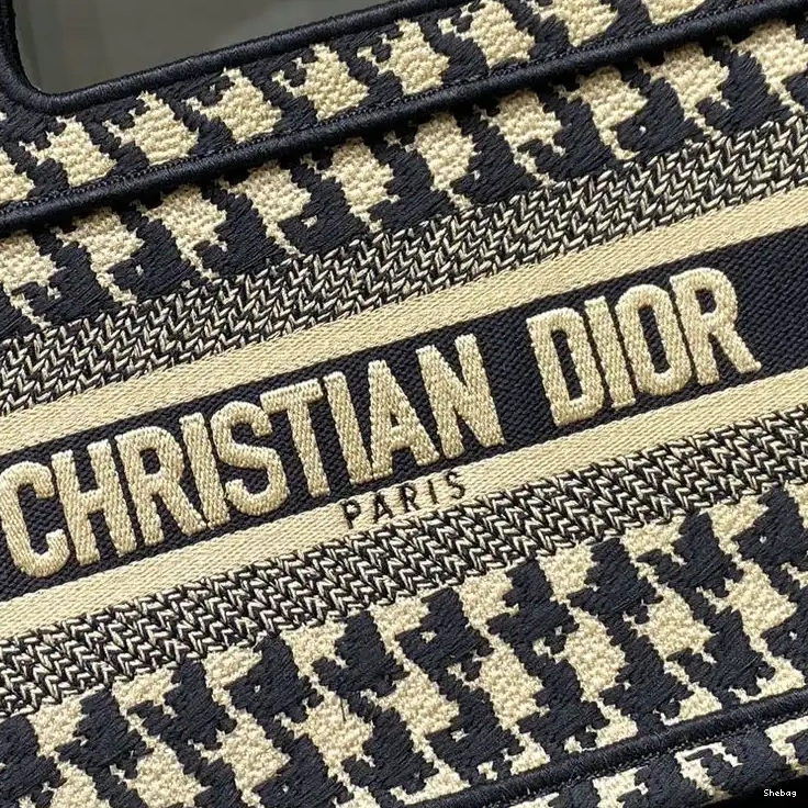 Bag Dio 2203RF0059 0801